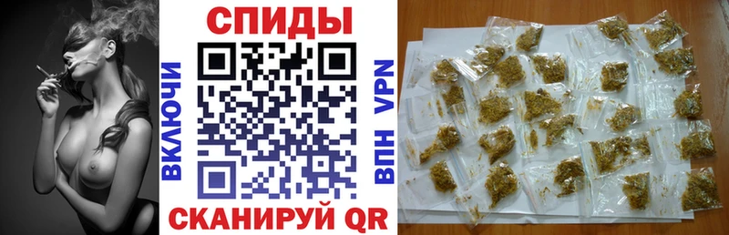 Купить  Кондопога  Бутират буратино 