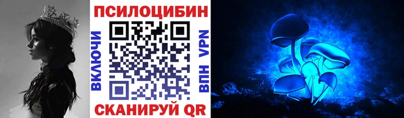 Купить  Кондопога  Псилоцибиновые грибы MAGIC MUSHROOMS 
