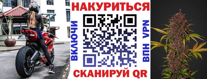 Купить  Кондопога  Канабис семена 